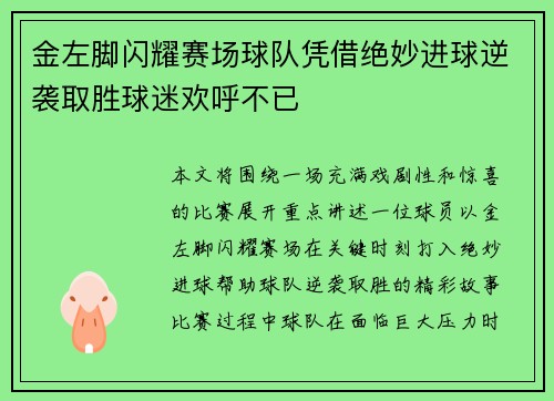 金左脚闪耀赛场球队凭借绝妙进球逆袭取胜球迷欢呼不已
